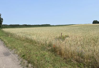 Działka zawady