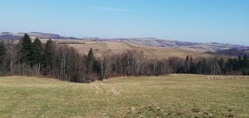 Działka budowlana w wielogłowach 11,78ar