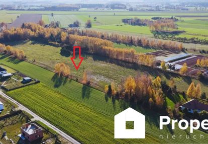 Działki budowlane budy trzcińskie koło skierniewic