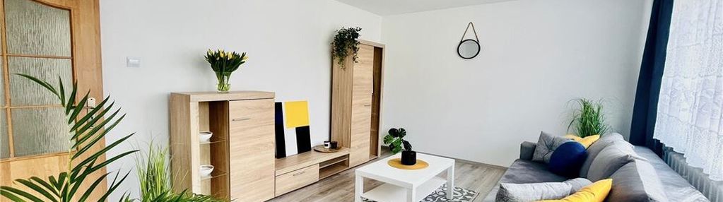 Komfortowe 3 pokoje do wynajęcia!