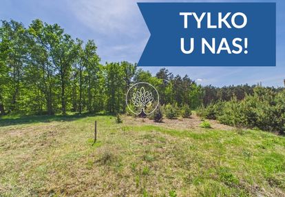 1585m2 | ściana lasu | mpzp
