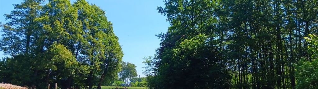 Działka budowlana 12 ar, orzesze
