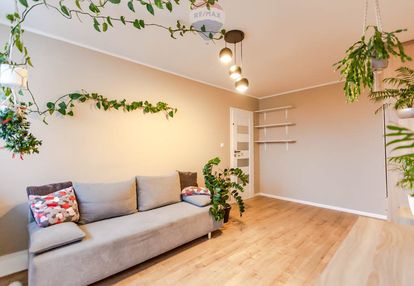 Do wynajęcia 3 pokoje w centrum zielonej góry!