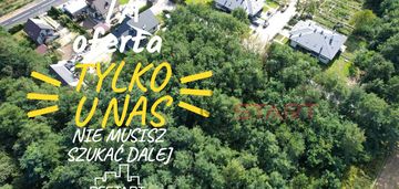 Drzewa, niska cena, książenice.