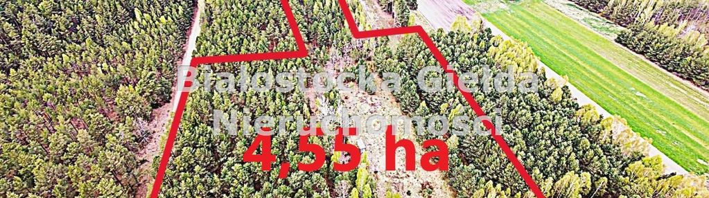 Działka 4,55ha//warunki zabudowy//las