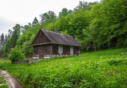 Wyjątkowe siedlisko na skraju lasu 28,5ar
