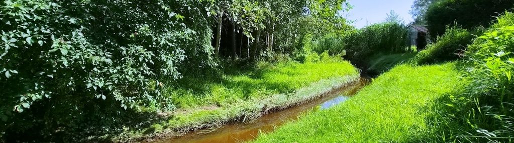 Działka budowlana 1182 m2 z wz | warmia | lubnowo