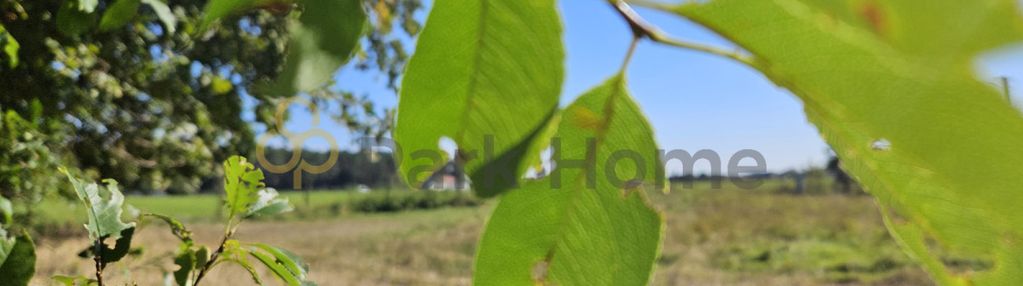 Działka przy lesie - 1000 m²