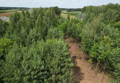 Działka budowlana bardzo blisko narwi. 1146 m