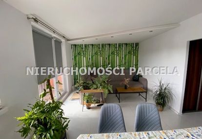 Do wynajęcia m4 wrocławska