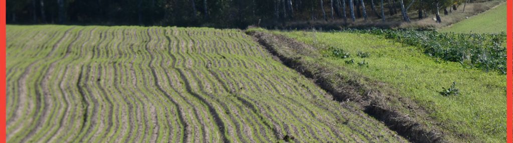 Działki z warunkami zabudowy blisko jezior i lasów