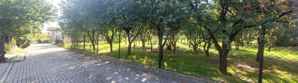 Przy ślepej uliczce, cicho i zielono.