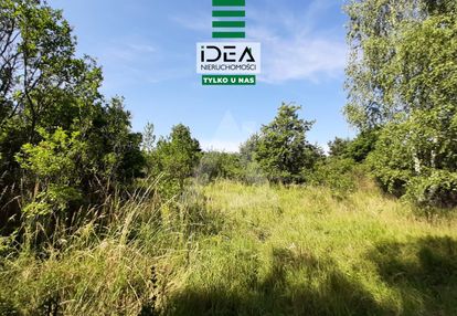 Działka blisko natury w bydgoszczy.
