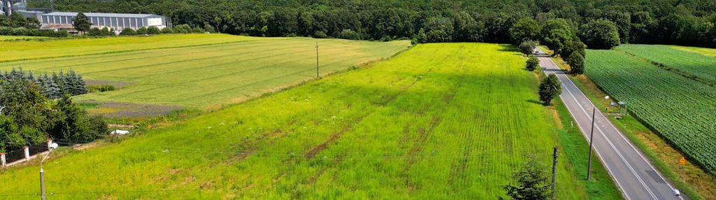 Działka, inwestycja, 2,17ha, rm/u, rolna