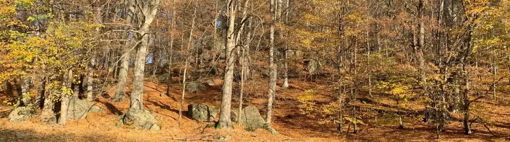 Działka na sprzedaż 4100m2