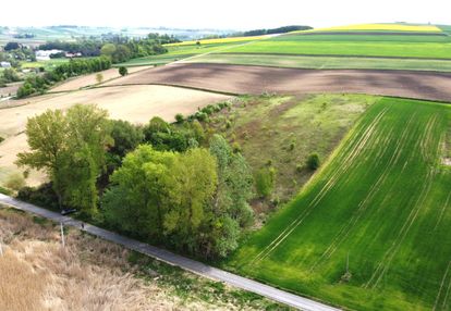 Działka rolna 1,357ha. radziemice, niedaleko gminy