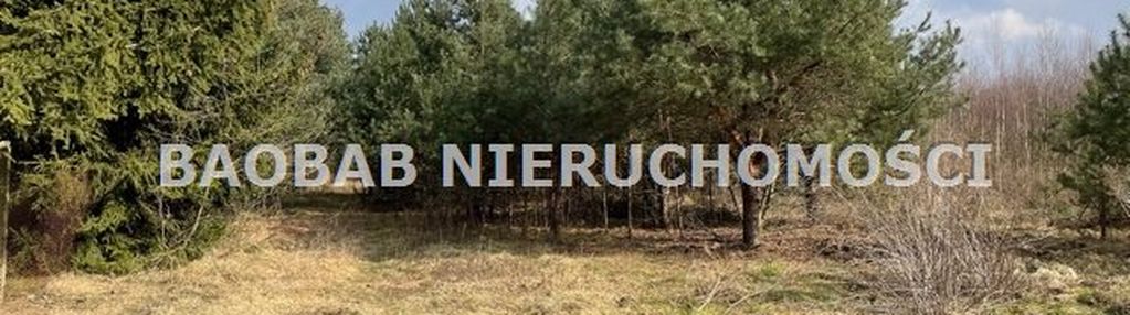 Działki rekreacyjne lasek k/grzegorzewic