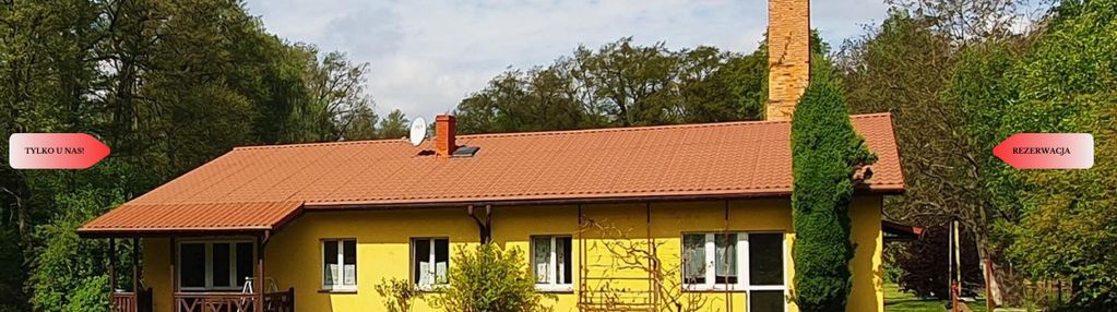 Dom z potencjałem na dużej działce!