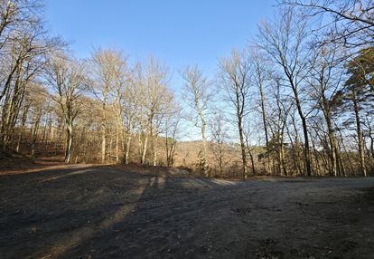 Atrakcyjna działka przy lesie z mpzp - gdynia