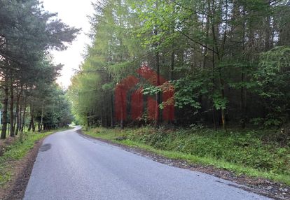 Las 85ar przy stoku narciarski, pomysł na glamping