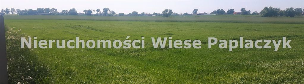 Łekno, gm. wągrowiec
