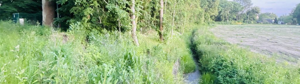 Działka na sprzedaż w pięknym miejscu! gołębiewo