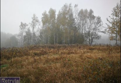 Bardzo klimatyczna, ciekawa okolica