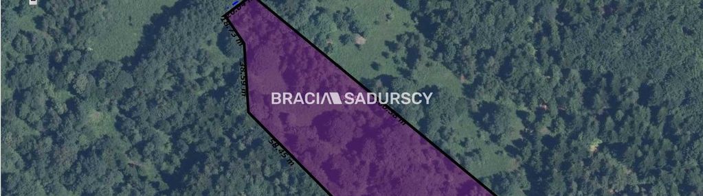 Stryszawa - działka leśna w beskidzie żywieckim!