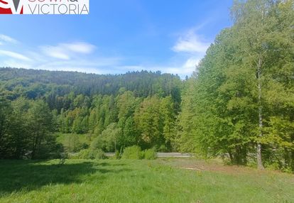 Widokowa działka w sąsiedztwie jeziora - ok 1 km