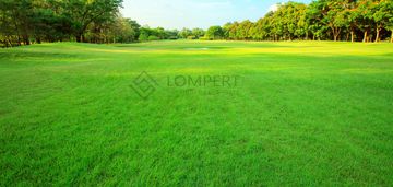 3.218 m2 tuż przy lesie | pnb |