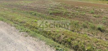 Działka z wydanymi warunkami zabudowy.