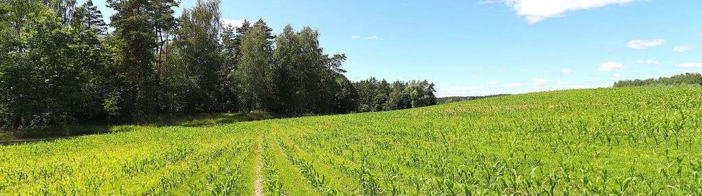 Działka budowlana na mazurach rożyńsk wielki