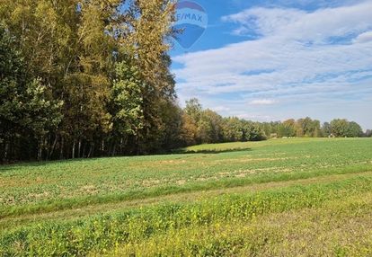 " działka rolna i las w gratisie "