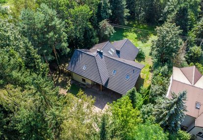 Tu sąsiedzi nie zaglądają przez okno: 4666 m²