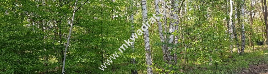 Okazja ! działka budowlana 3218 m2 radonie z mpzp