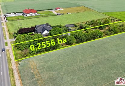 2556 m2 przy asfalcie okolice kruszyna
