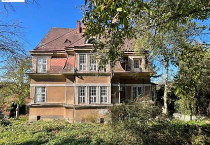 Historyczna willa autorstwa haiduka!