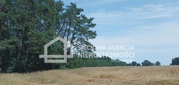 Ziemia rolna wilkowo nowowiejskie 3,2ha! kaszuby!