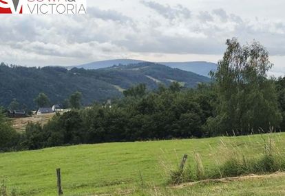 Panoramiczny widok na szczyty gór,  ok 1 km od pkp