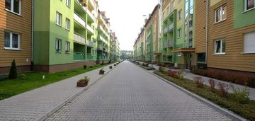 Krzyki-gaj-okazja-2010.rok-miejskie-winda-piwnica