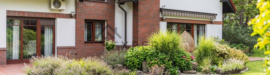 Premium/dom z lasem/gorzyca/lubin