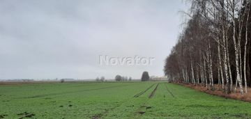 Działka rolna o pow. 3002m2 w łachowie gm. szubin