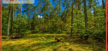 Objęta mpzp, w otoczeniu lasu.