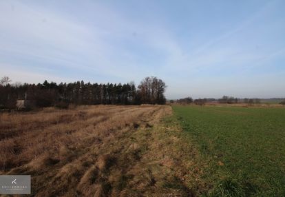 Działki budowlane o pow.17 arów. dalborowice.