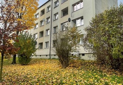 Zaprojektuj swoje wymarzone mieszkanie od podstaw!