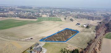 Czernica – przestronna działka w zielonej okolicy