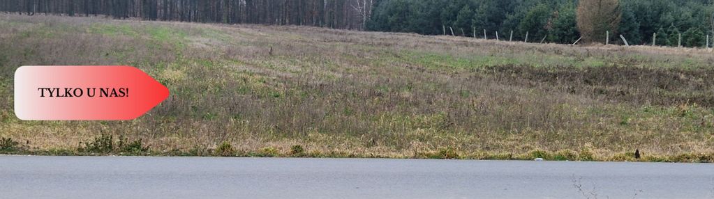 Działka budowlana ze ścianą lasu - tylko u nas