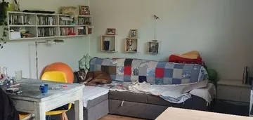 Wygodne mieszkanie w Gnieźnie