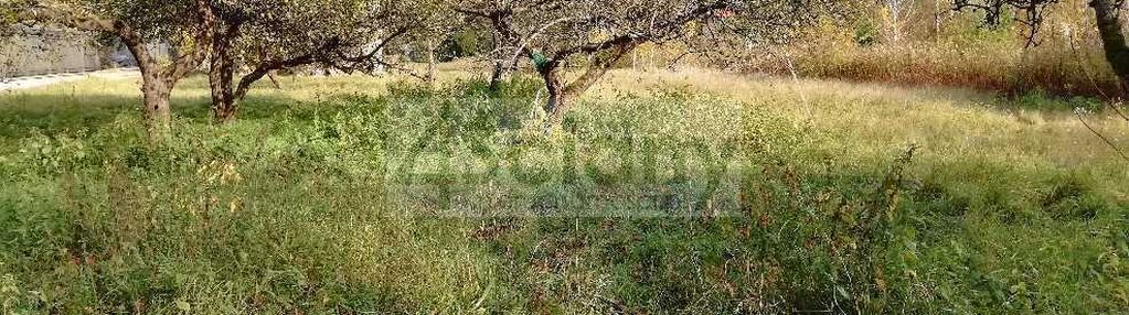 Duża, pełna zieloności działka nieopodal lasu