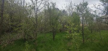 Górki duże tuszyn działki pod usługi mieszkania